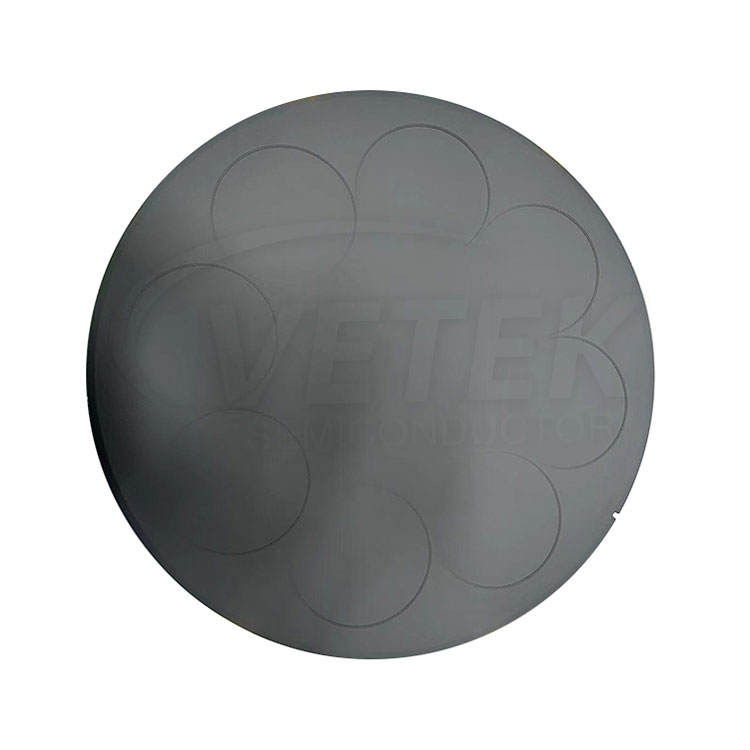 SiC Coated Pancake Susceptor pro LPE PE3061S 6'' Wafers